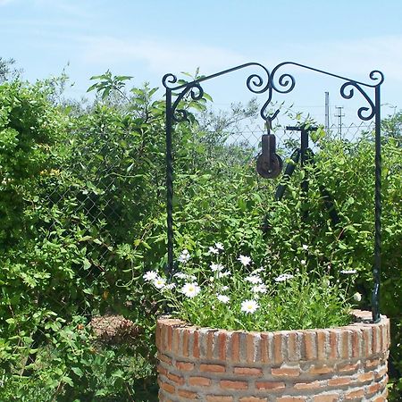Casa Rural El Rincon Carcabuey Kültér fotó