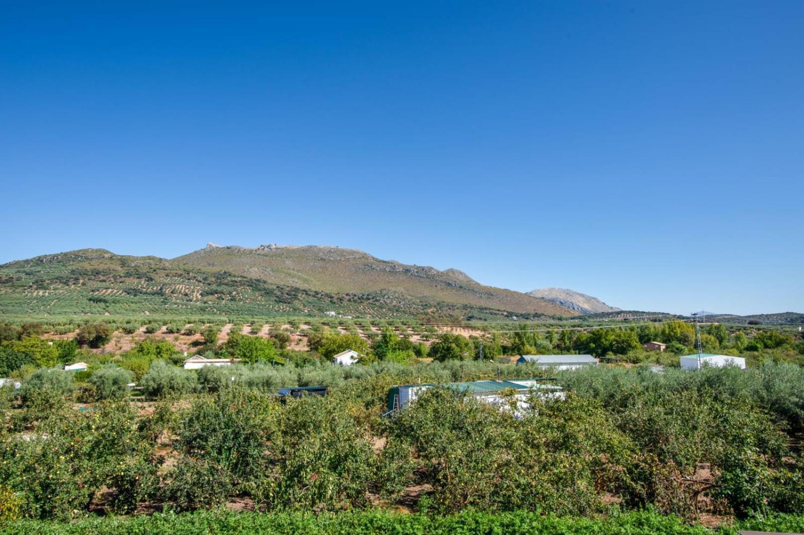 Casa Rural El Rincon Carcabuey Kültér fotó